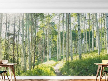 TECTUM CREATE! Walls