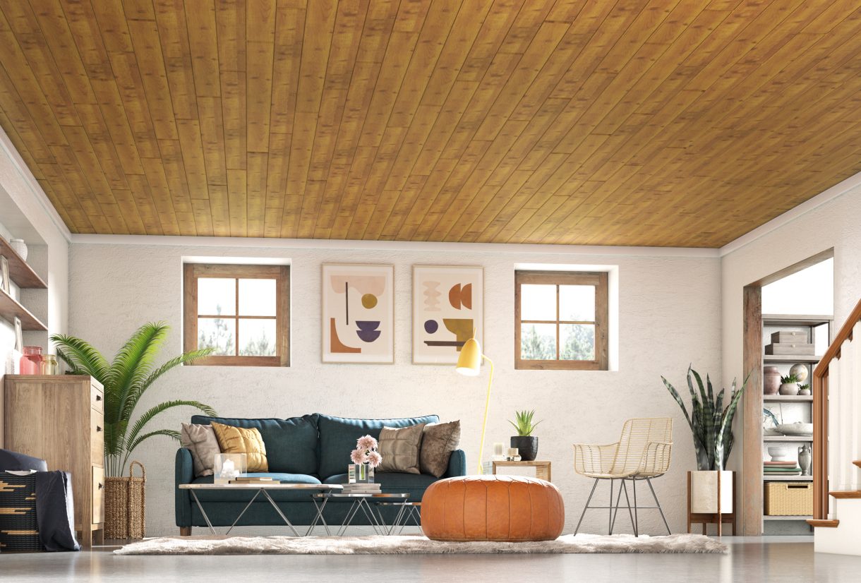 decorative ceiling living room